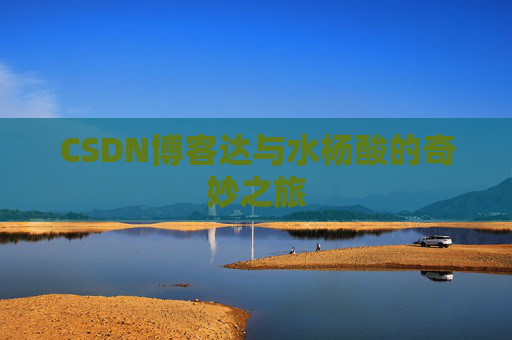 CSDN博客达与水杨酸的奇妙之旅